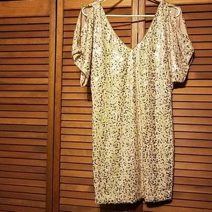NWT Sequin Dress